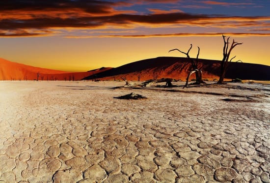 The Best Time for Safari in Sossusvlei