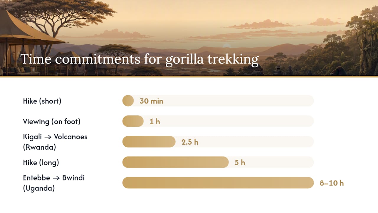 Gorilla trekking in Rwanda and Uganda — a different kind of safari — overview diagram