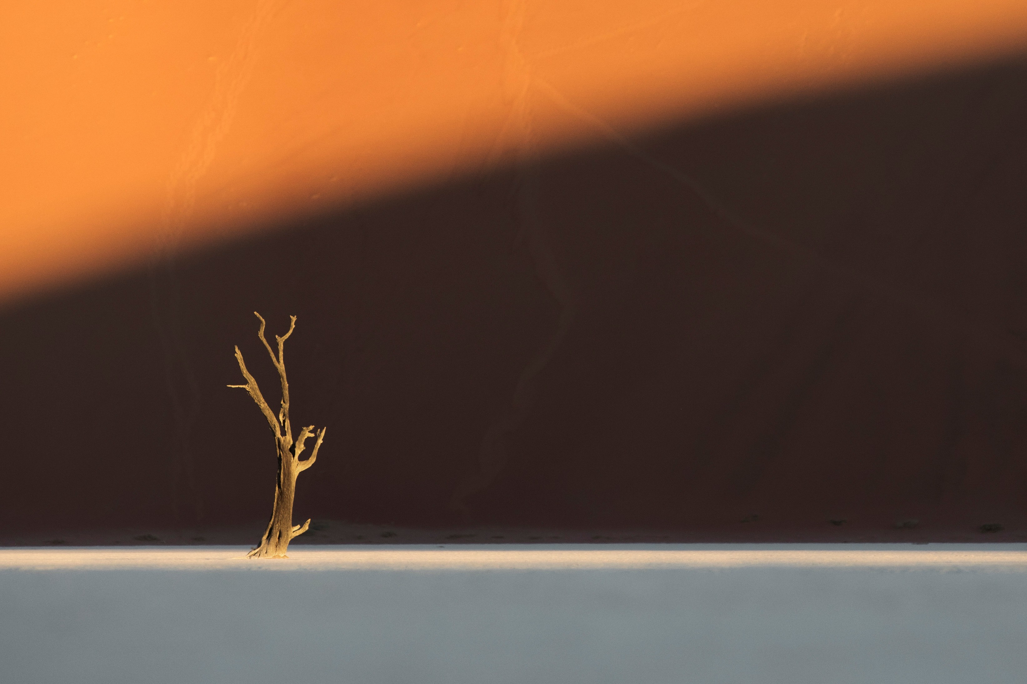 Solitary traveler walking across golden sand dunes at sunrise, with intricate wind-sculpted patterns and a warm, glowing horizon in the Namib Desert.