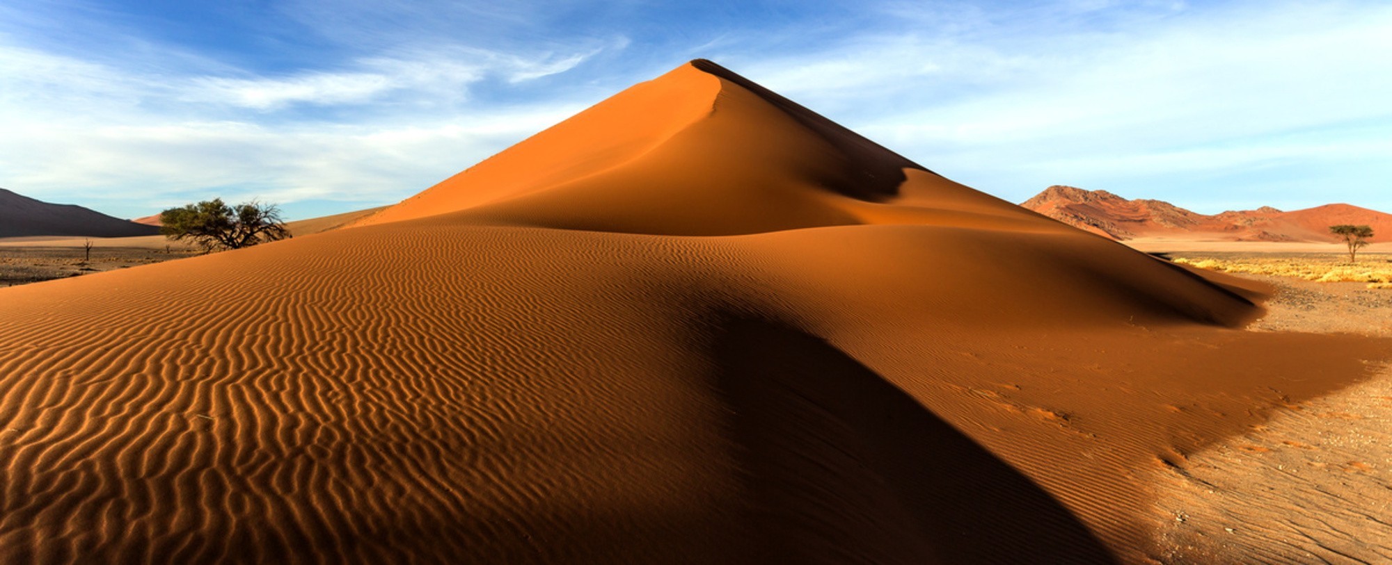 Classic Namibia Safari