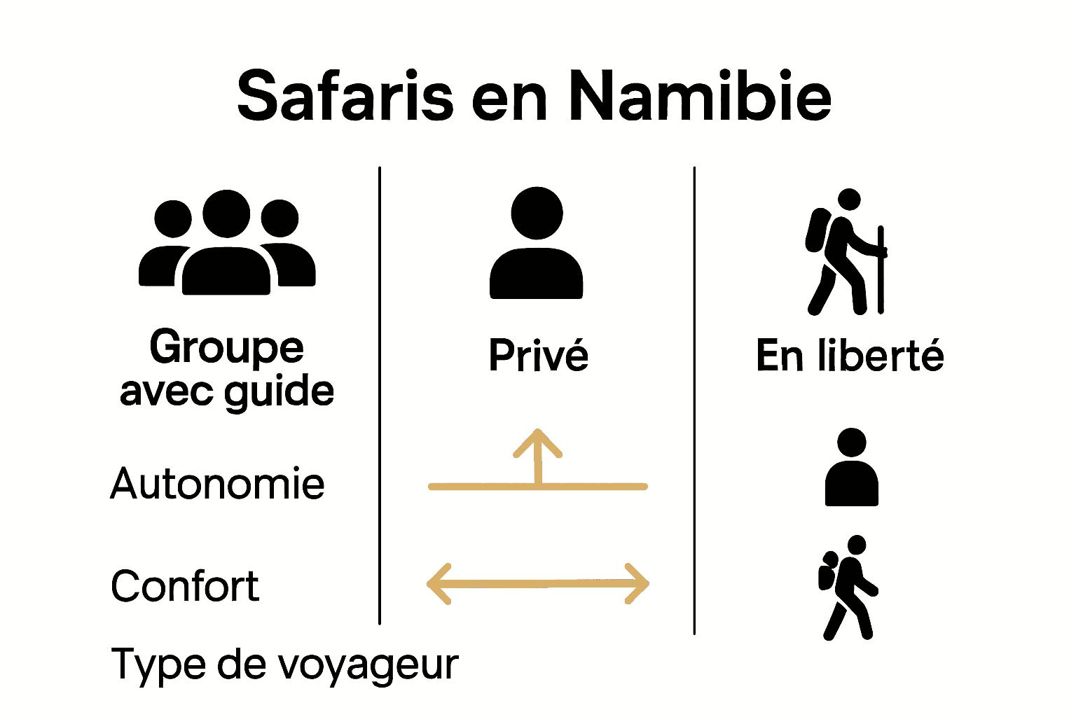 Comparatif visuel des formats de safari en Namibie.