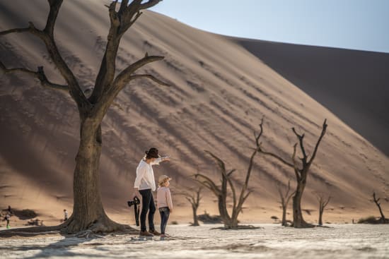 Namibia Safari vs Tanzania Safari: Landscapes & Landmarks Compared