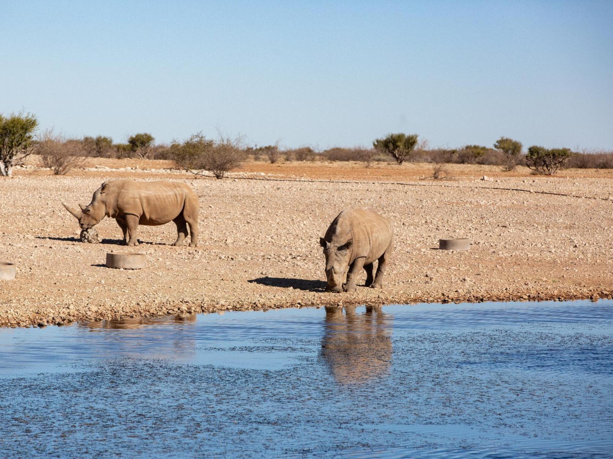 Lapa Lange Game Lodge