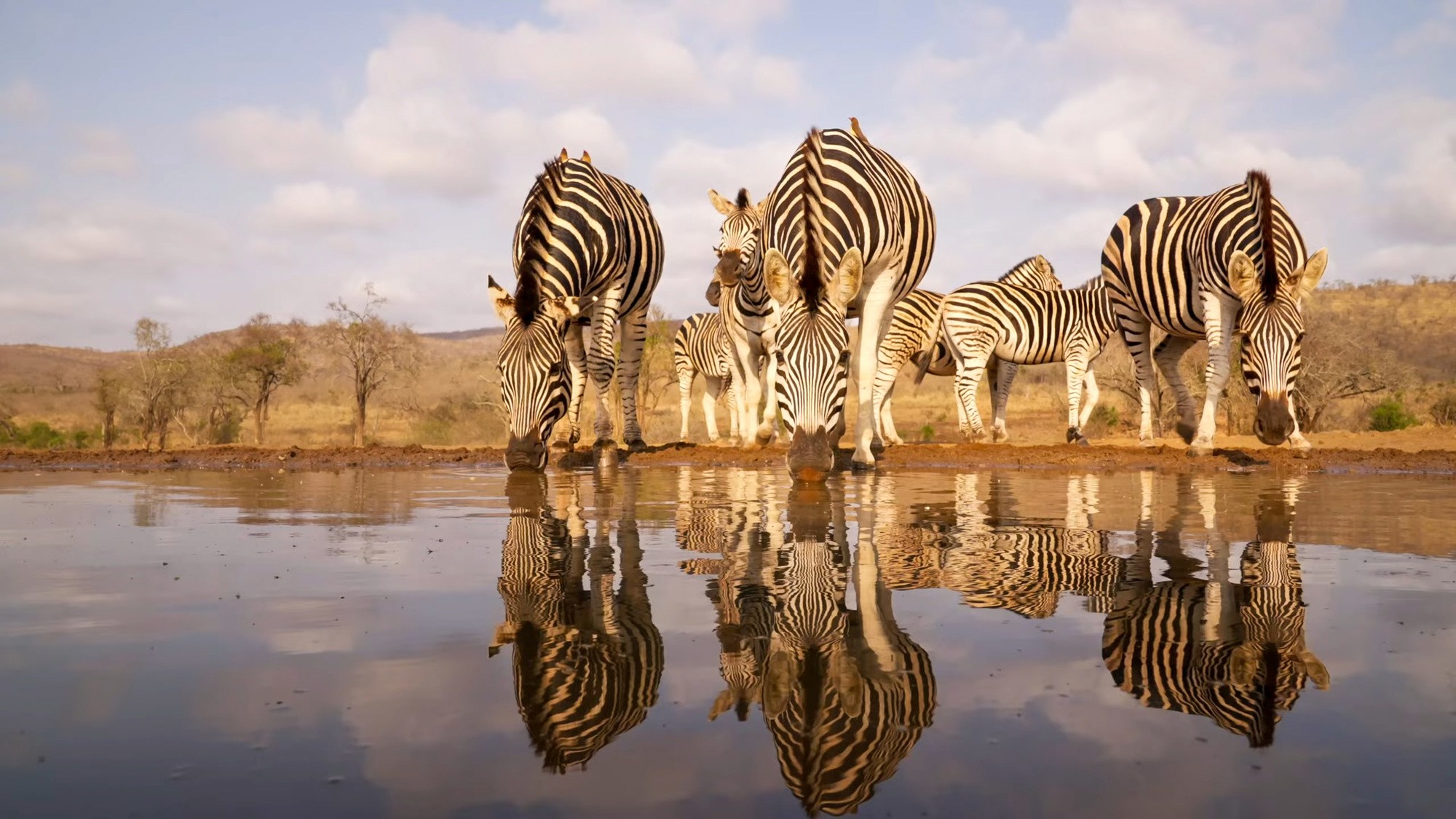 Namibia Luxury Self-Drive Safari