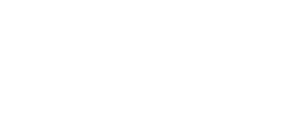 Secret Namibia logo featuring a clean and minimalist design with elegant typography and subtle elements representing Namibia's essence.
