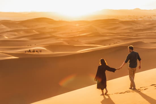 Namibia Safari vs Tanzania Safari Cost