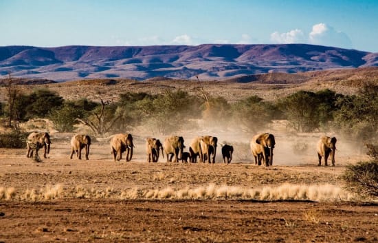 Best Namibia Safari Group Activities for 2023/2024