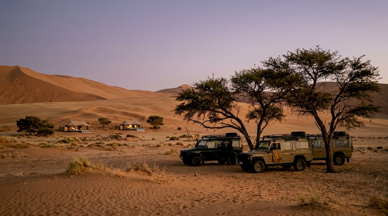 Safari vehicles near acacias at dusk in desert