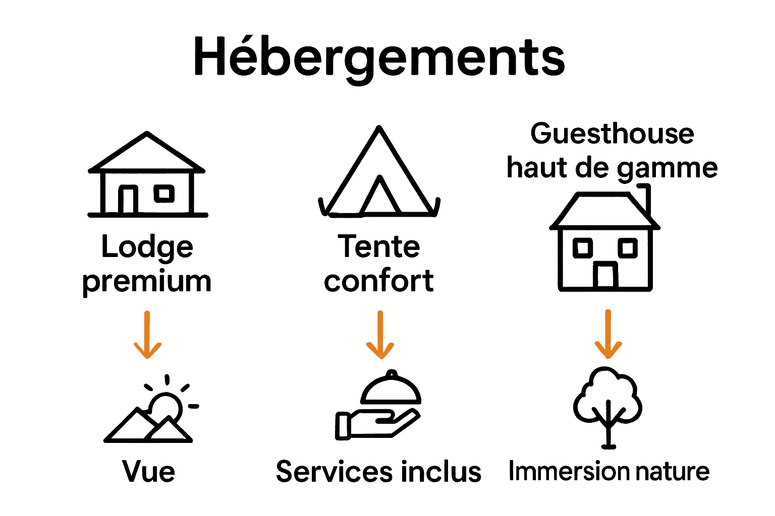 Comparaison visuelle de trois types d'hébergements de luxe en Namibie