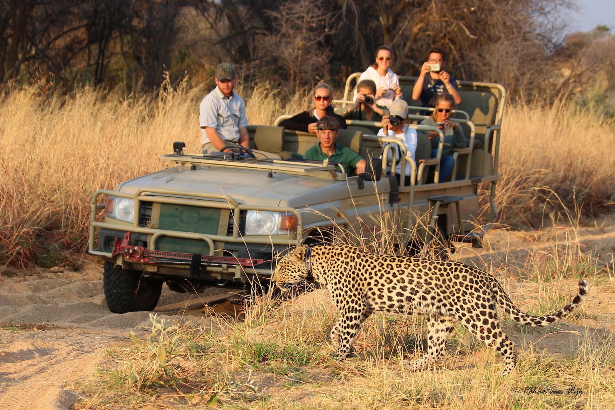 Okonjima Plains Camp