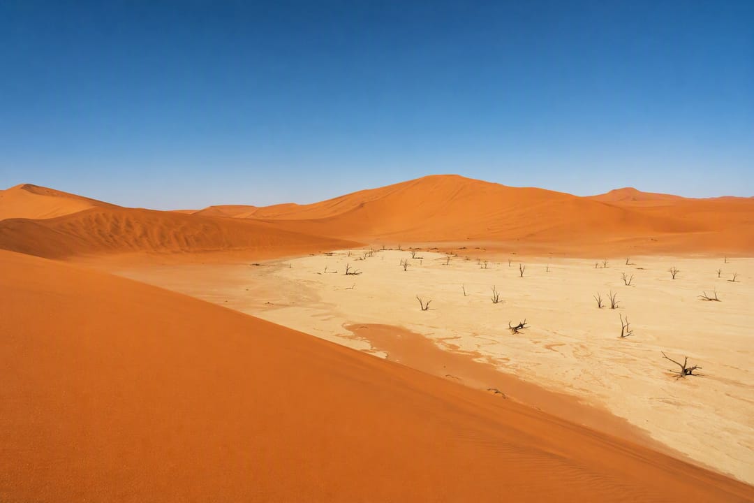 Sunrise over Sossusvlei dunes and Deadvlei trees