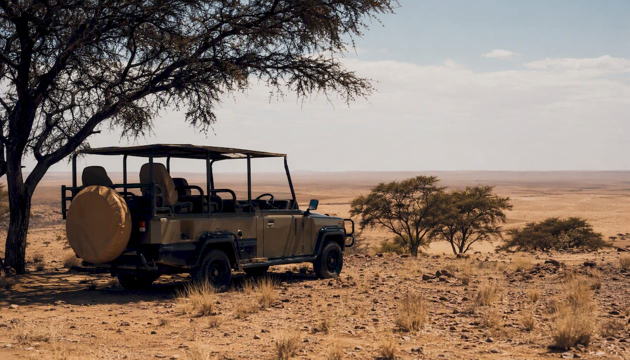 Private safari vehicle on acacia plain at dusk