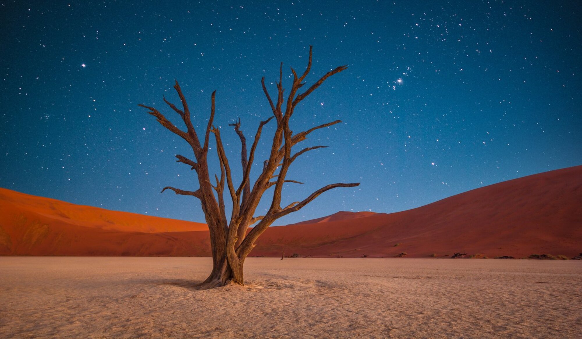 Best of Namibia Luxury Self-Drive Safari