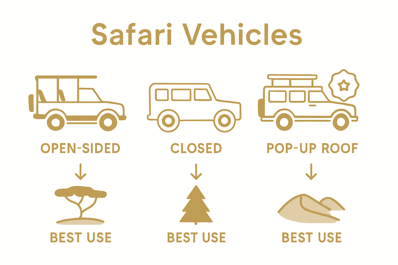 Safari vehicle types comparison infographic