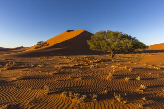 Ultimate Namibian Guided Safari (19 Days)