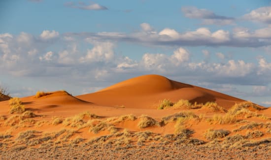 The Namib Desert
