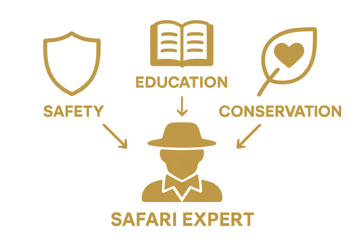 Infographic showing safari experts’ roles: safety, education, conservation.