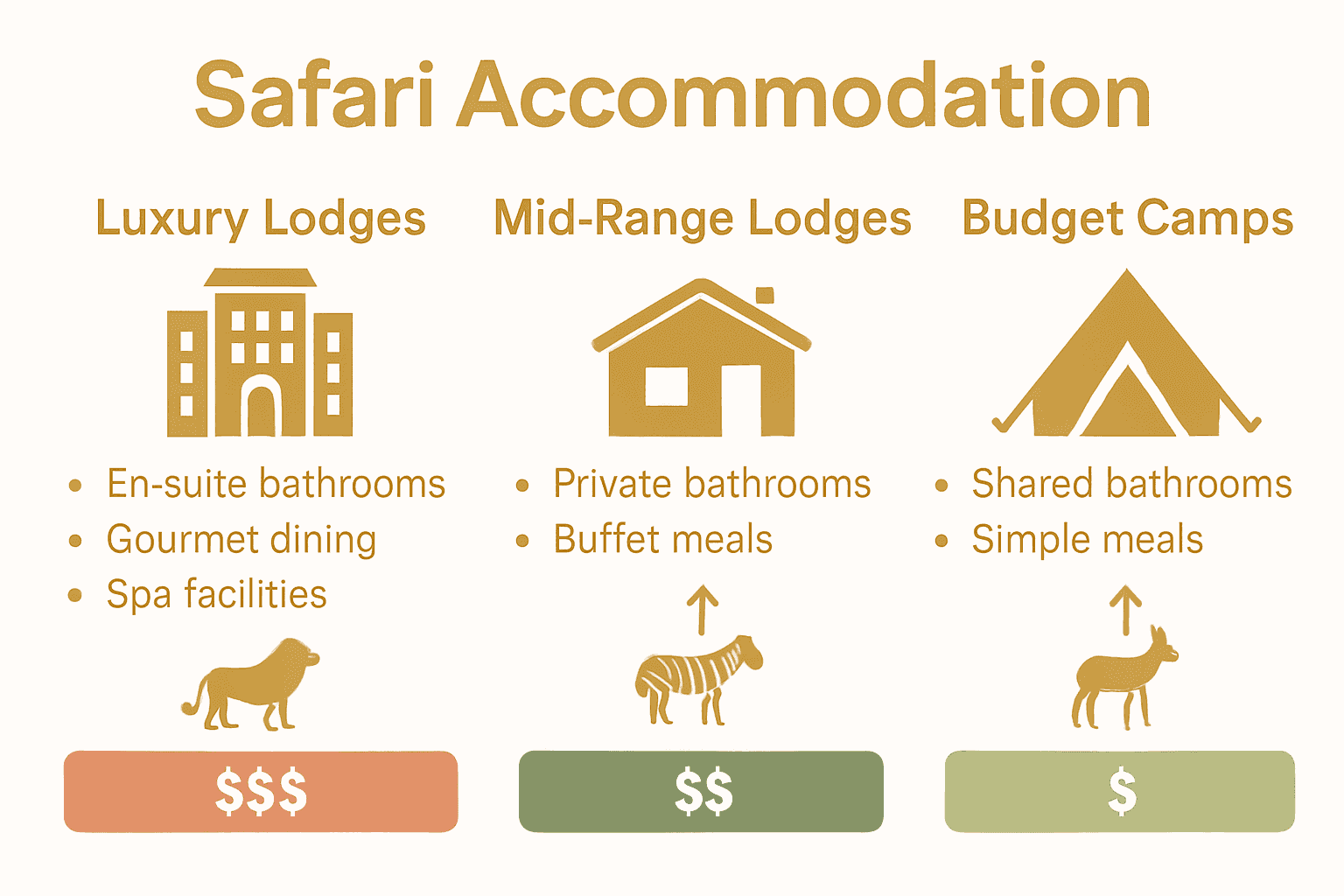 Infographic comparing safari lodge and camp accommodation features and price ranges.