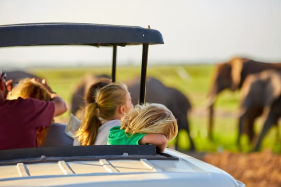 Wildlife viewing in Kruger and Etosha National Park