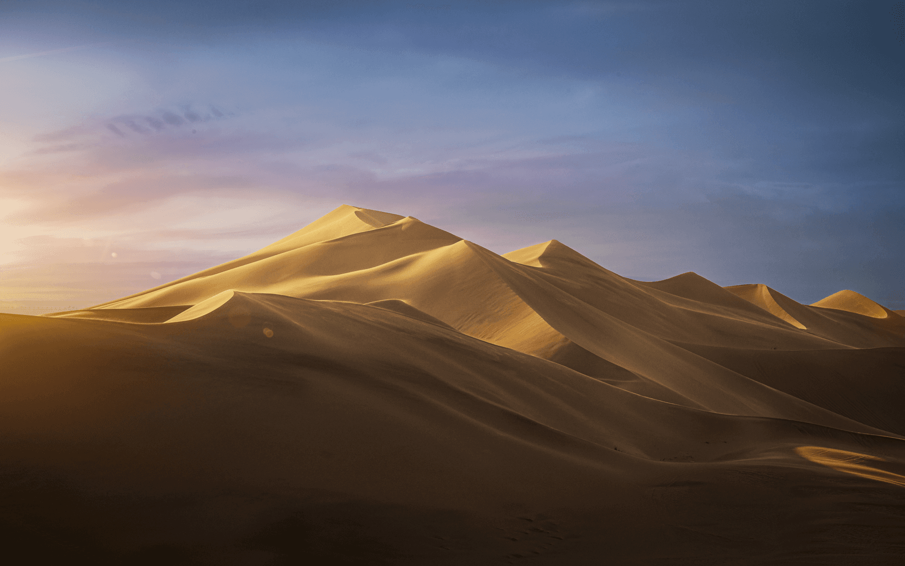 Wind swept namib sand dunes