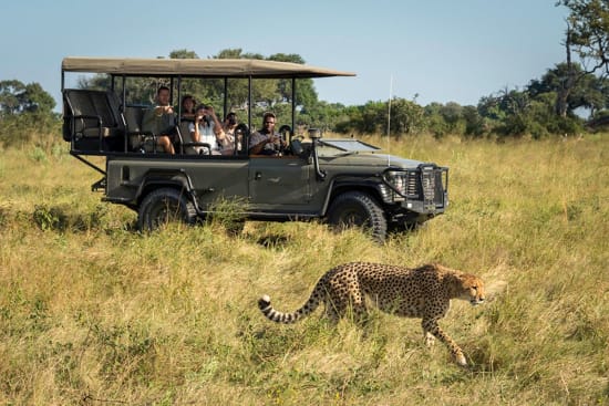 The Best Activities to try on a Botswana Safari