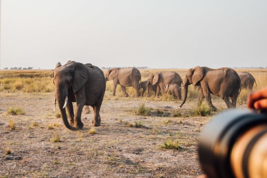 Packing Essentials: What to Pack for Your Namibia Safari