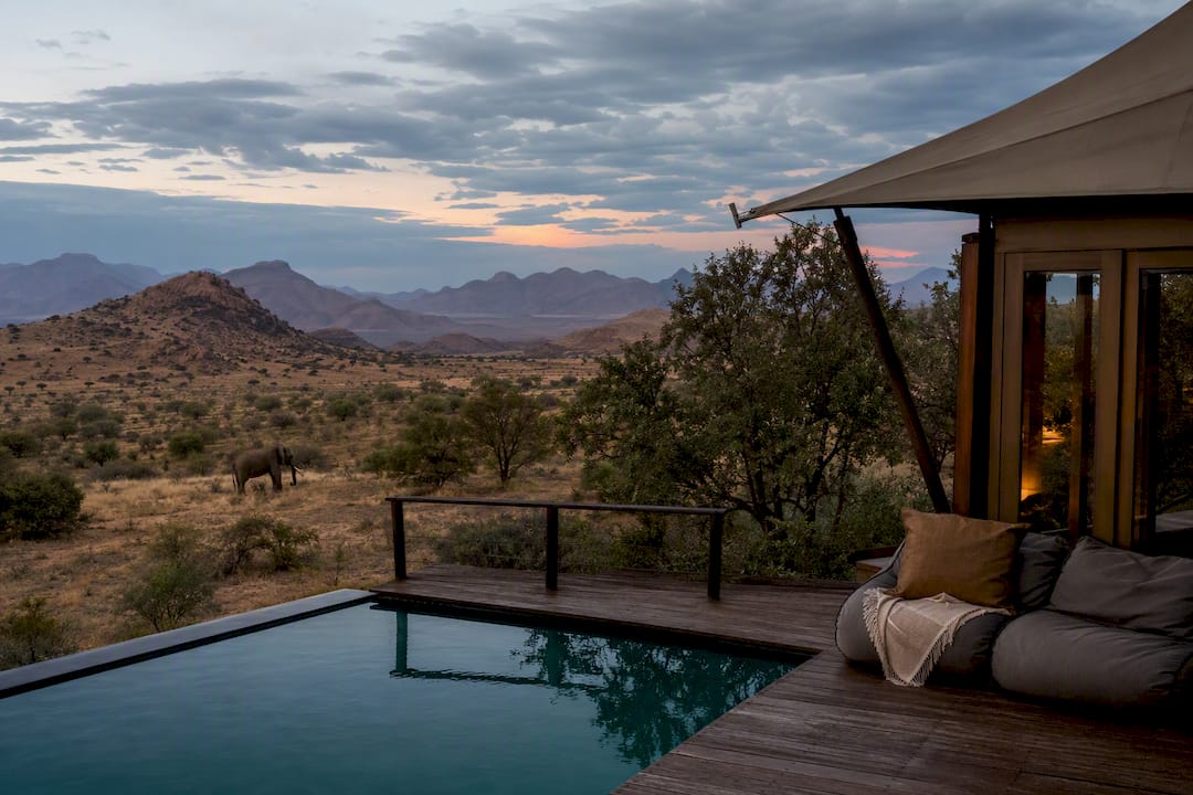 Luxury lodge pool and desert wildlife at dusk