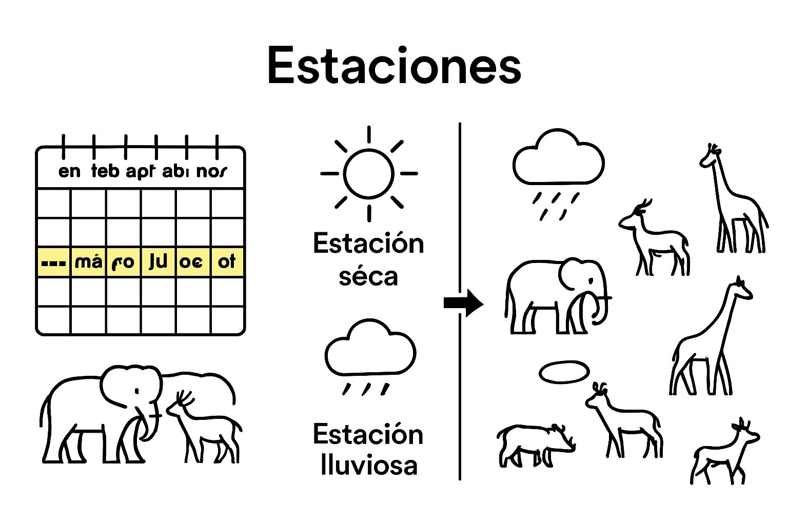 Infographic comparing Namibia dry and rainy safari seasons with calendar, weather, and animal movement icons.