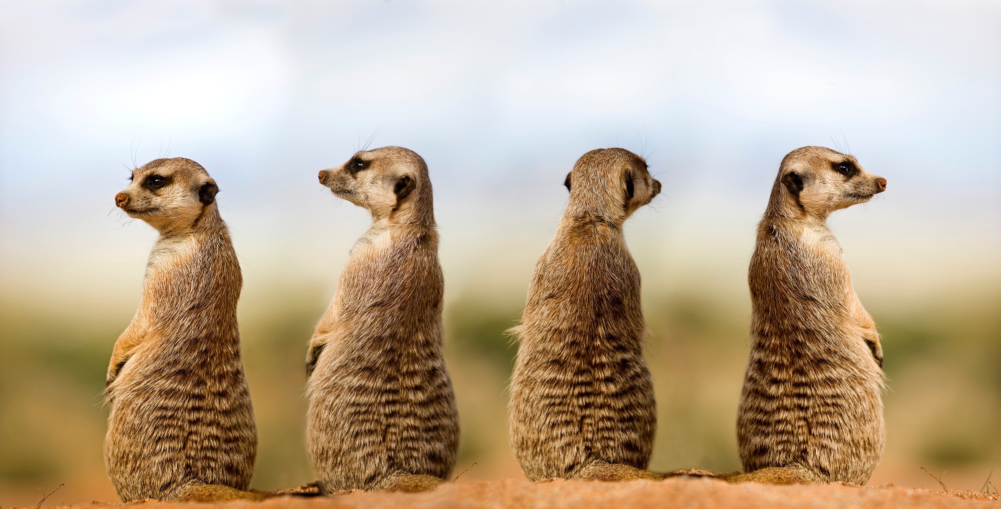 Namibia Luxury Self-Drive Safari