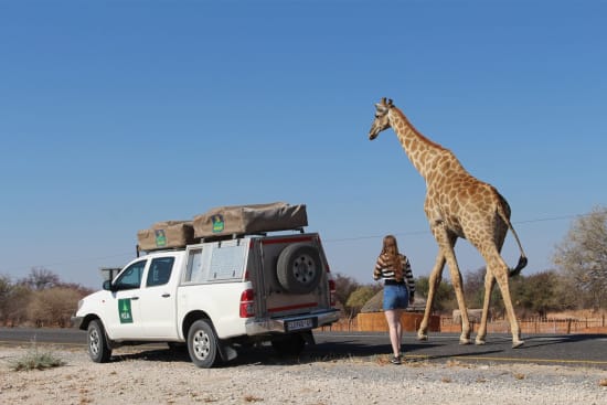 Choosing your safari type