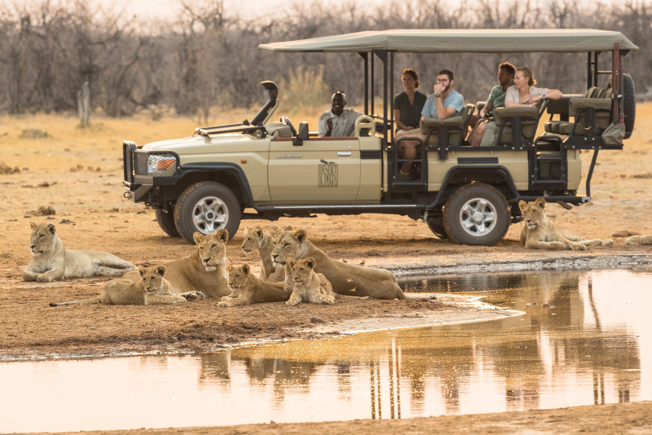 Savute Safari Lodge