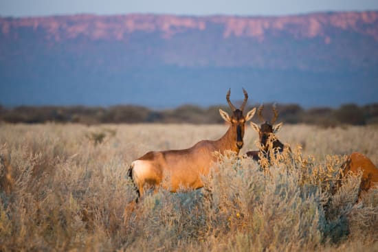 Things to do in Waterberg