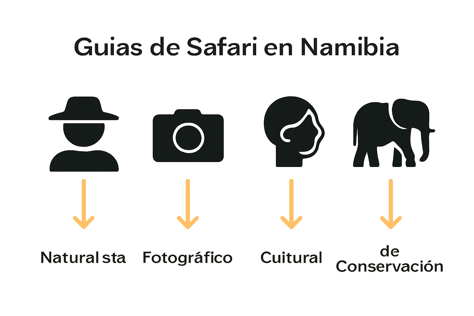 Comparación visual de tipos de guías de safari namibios