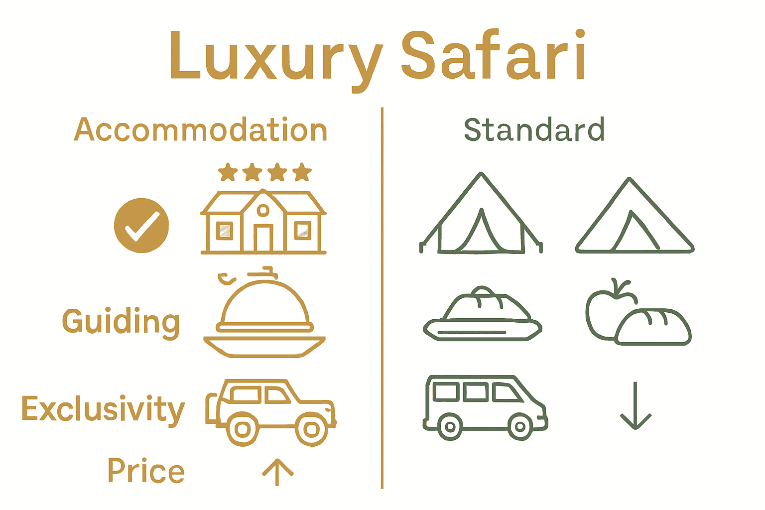 Infographic comparing luxury and standard safari features