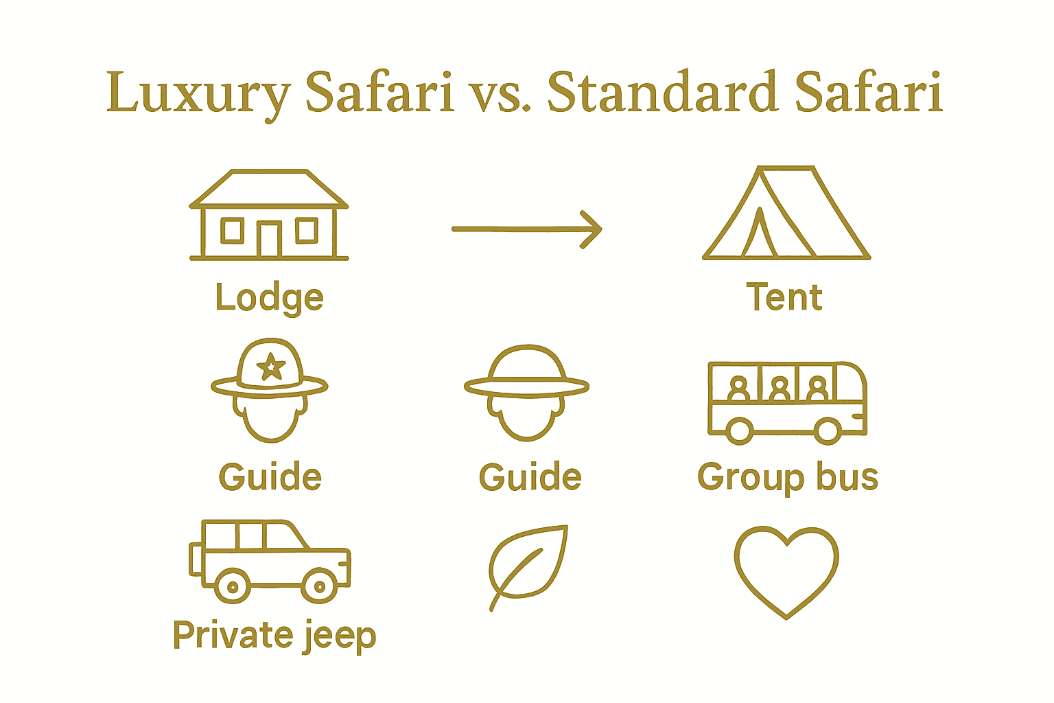 Infographic comparing luxury and standard safari features side by side