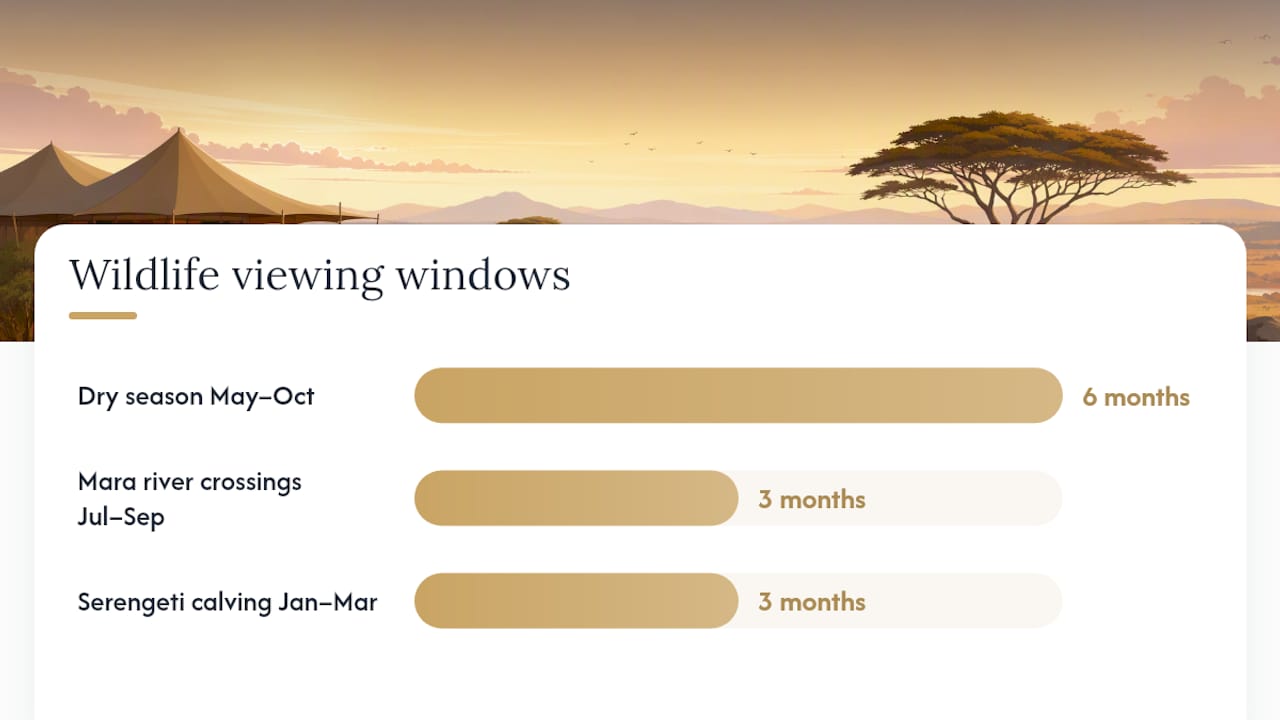 Comparison chart of five safari vacation key decisions