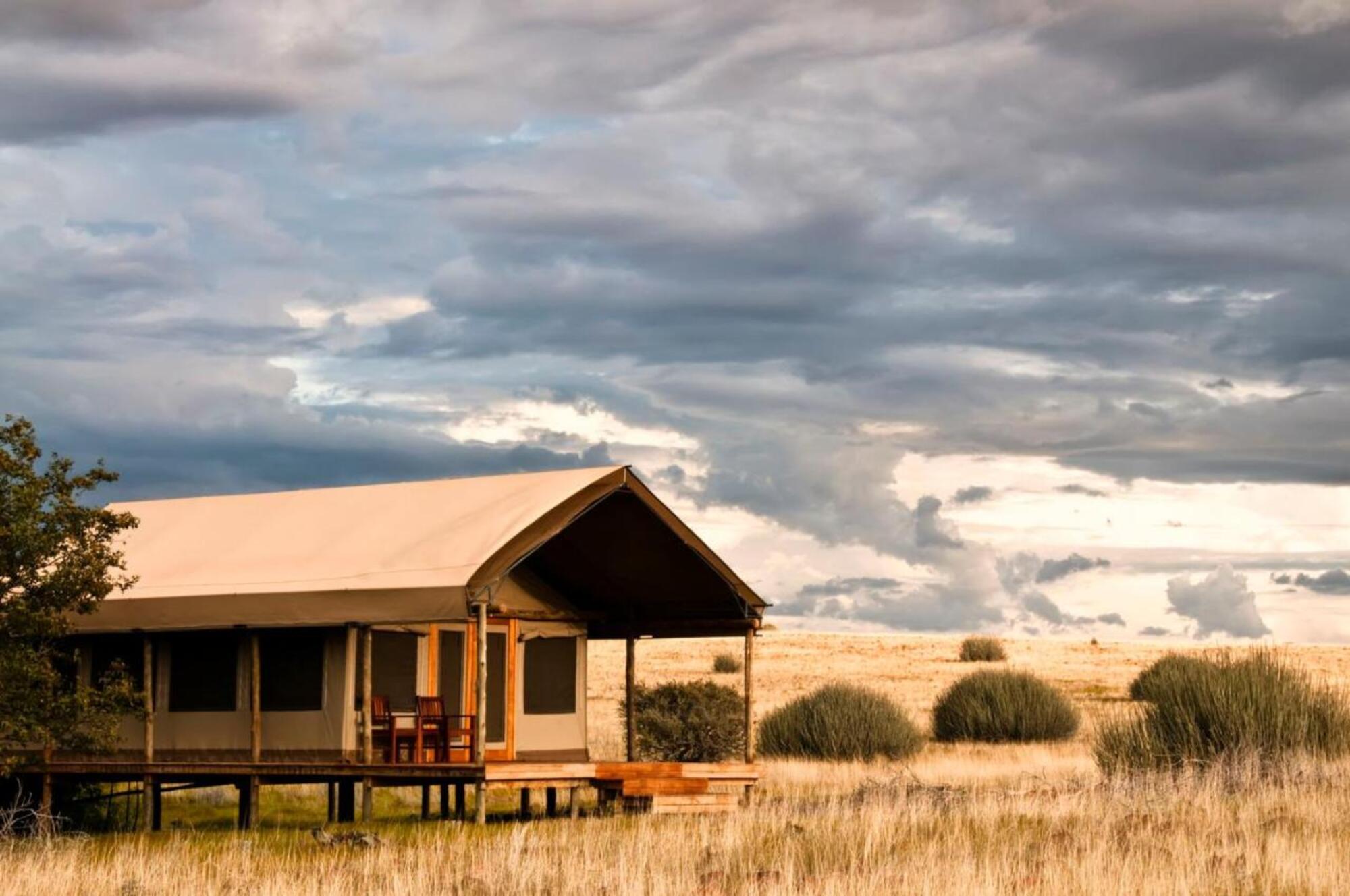 Desert Rhino Camp