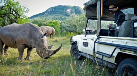 Exploring the Most Popular Luxury Group Activities