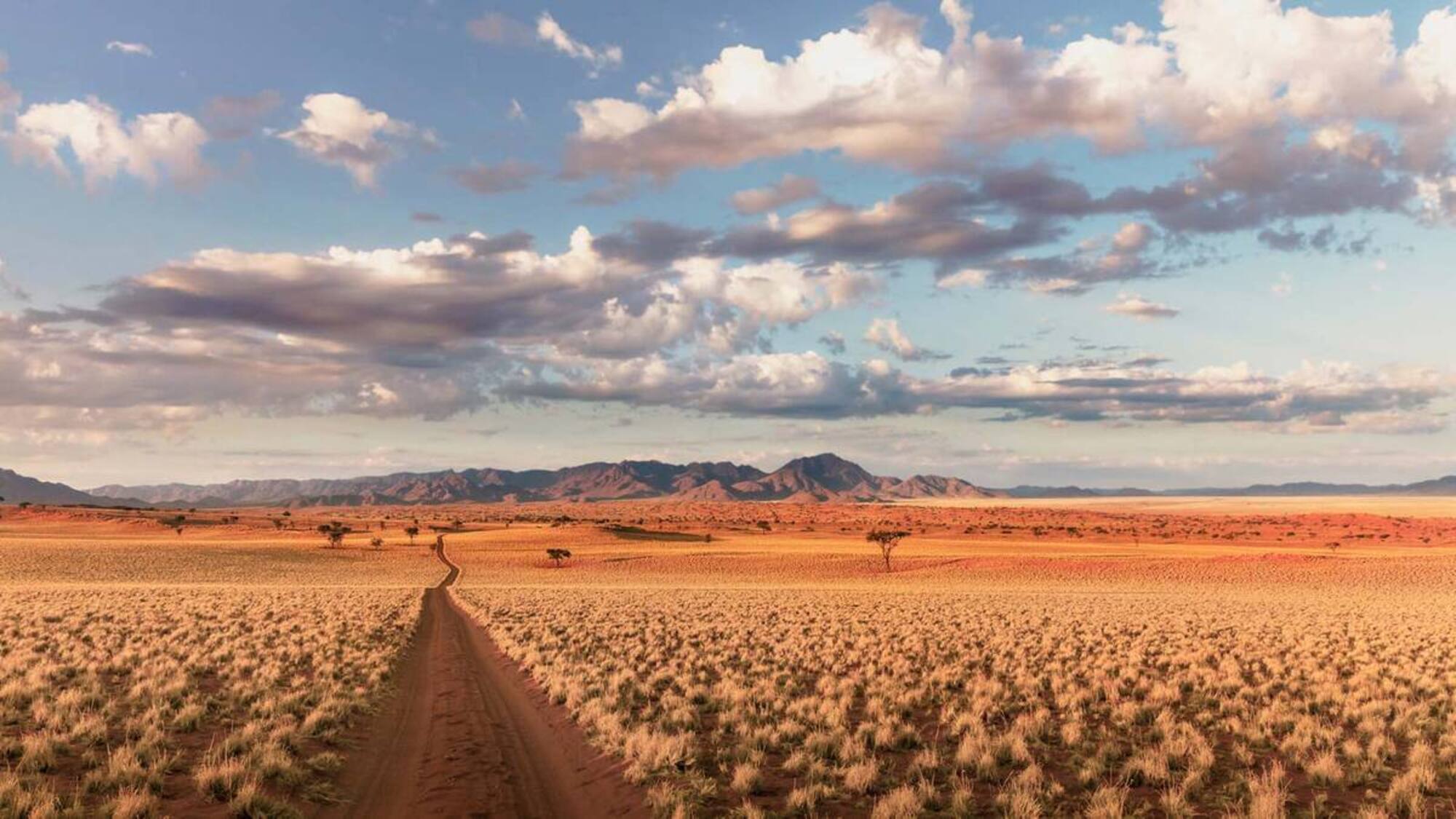 Best of Namibia Safari