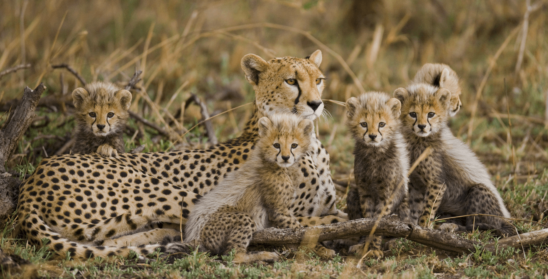 Namibia All Inclusive Fly-In Safari