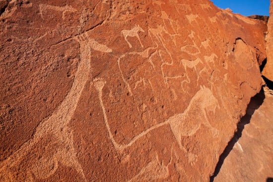 Extravagant Namibia Fly-In Safari (11 Days)