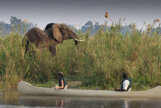 Zambezi Region: A River Wilderness