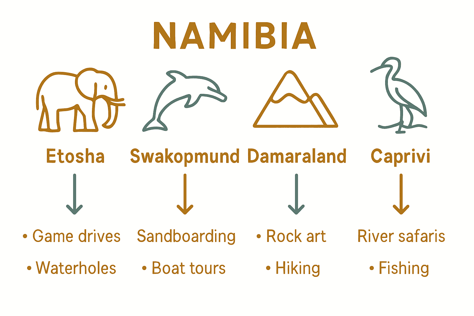 Infographic comparison of top Namibia family safari destinations and activities