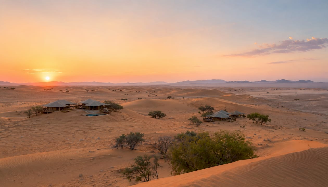 Sunrise over golden Namib dunes