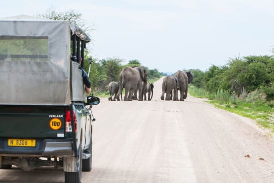 Safari Activities from Windhoek