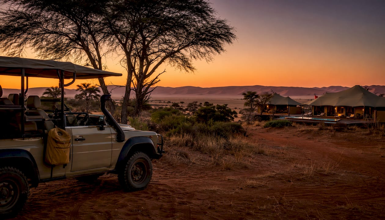 4x4 vehicle parked near acacia trees at desert dusk
