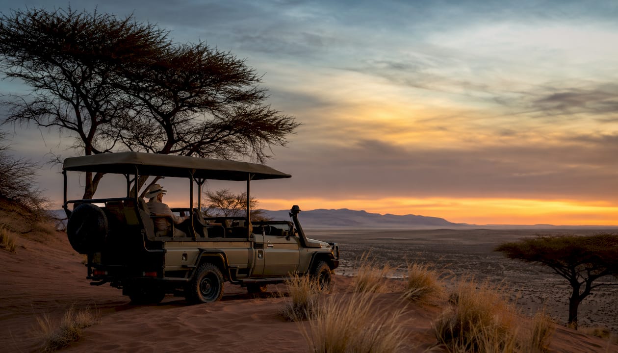 Safari vehicle near acacia trees at sunset
