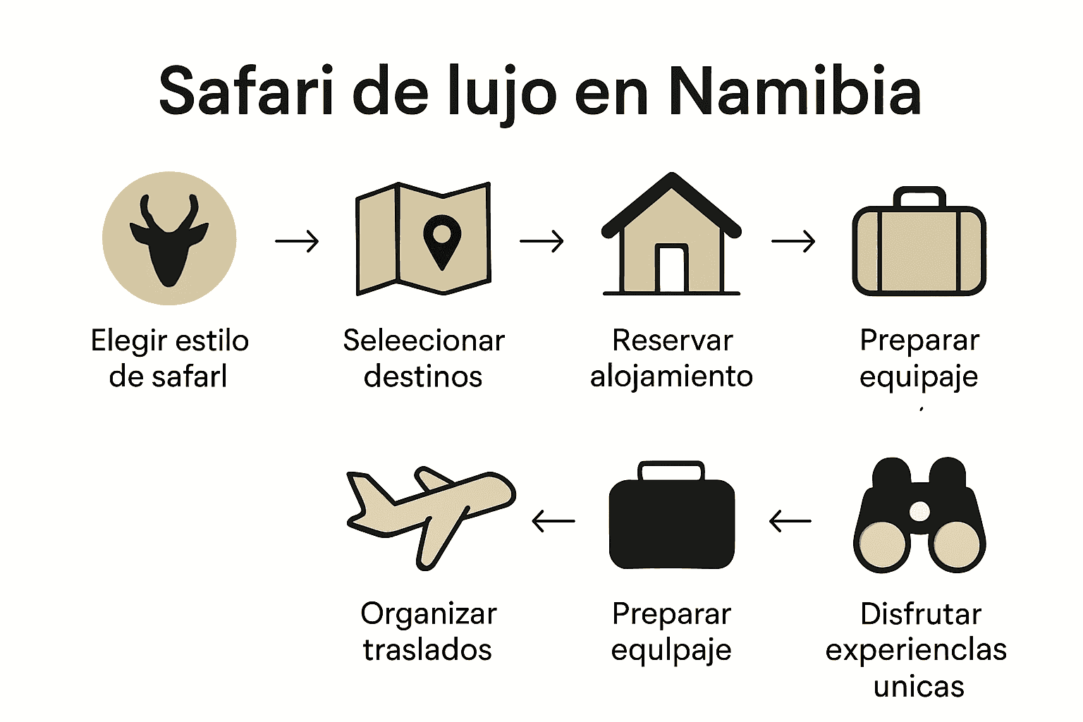 Infografía con iconos de safari y planificación de viaje en Namibia