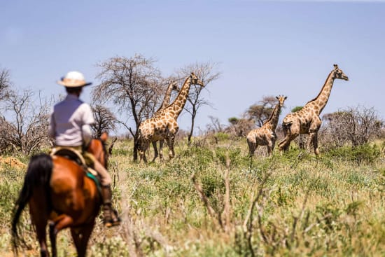 Kambaku Safari Lodge