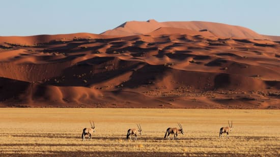 Popular FAQs for a Namibia/Victoria Falls Combined Safari